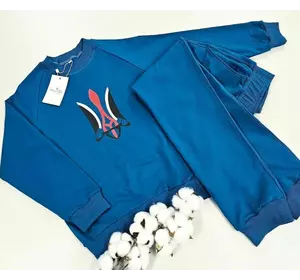 Дитячий весняний   костюм без капюшона з принтом "Герб" 164, 170 Дитячий весняний   костюм без капюшона з принтом "Герб" 164, 170